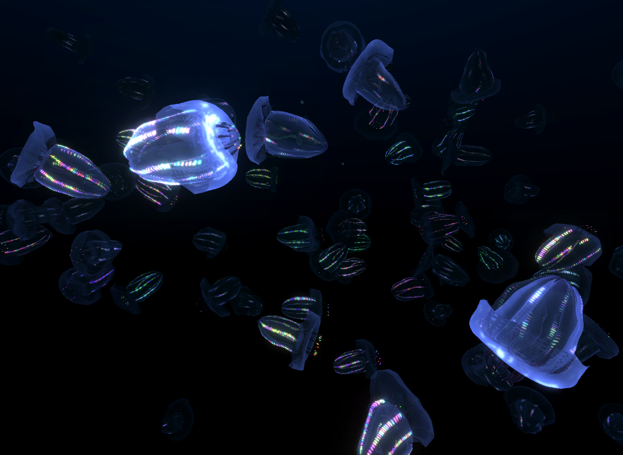 jellyfish